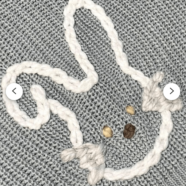 Bunny on Jumper